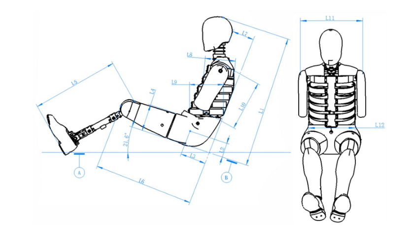 Worldsid 50th 男性侧面碰撞假人.png