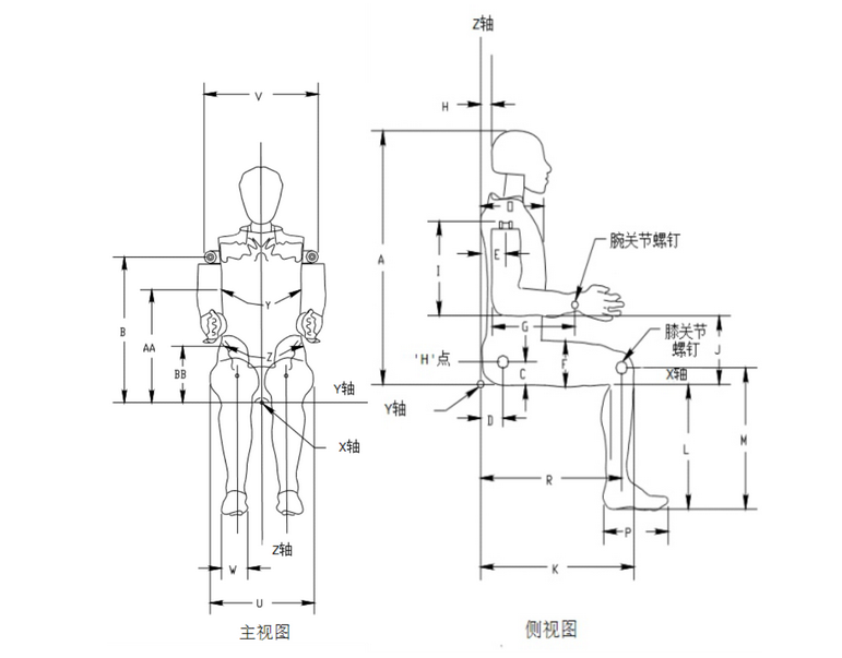 Hybrid Ⅲ 5百分位女性假人-p.png